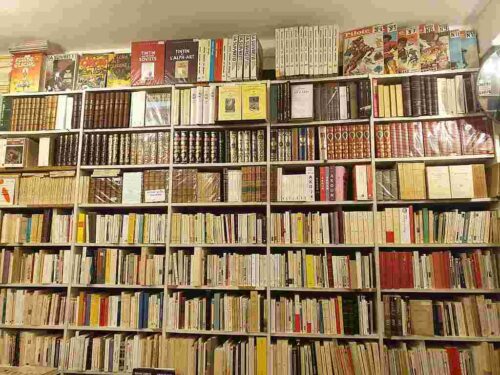 Lire la suite à propos de l’article Sélection de livres sur la Louisiane